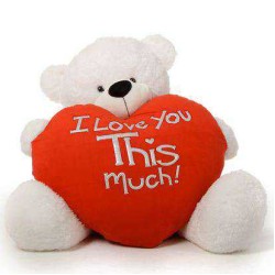 Giant 5 feet white Teddy Bear with a Huge Heart